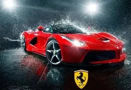 岁新星,本菲卡有望,低价收购罗,滚球购买平台,滚球平台官方网站,滚球平台,(集团)官方网站,十大滚球购买平台