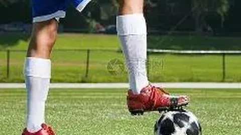 滚球购买平台 资讯 111447 s6o