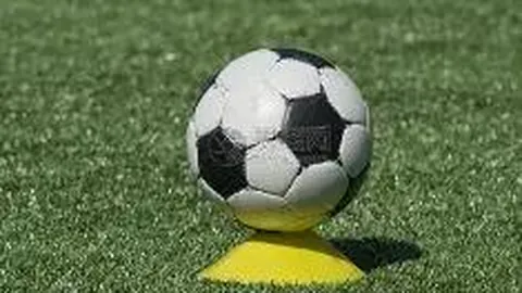 滚球购买平台 资讯 111526 0es