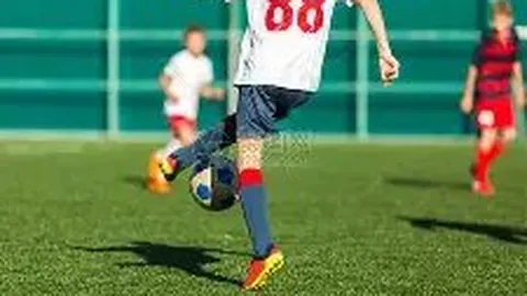 滚球购买平台 资讯 094748 zht