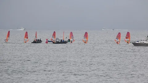 战绩辉煌：5胜4佳绩！掌握独家秘诀，本场胜券在握！